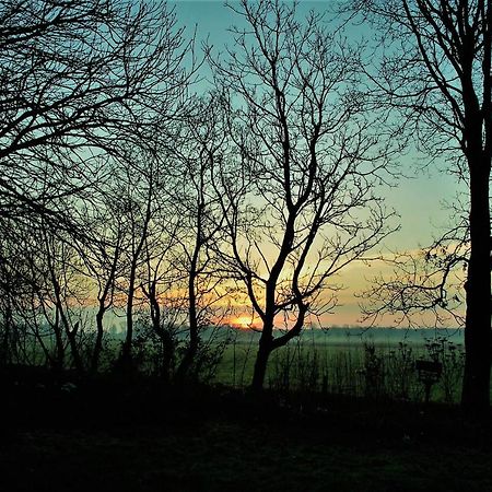 Vita Nova Hippolytushoef Bagian luar foto