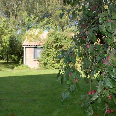 Vita Nova Hippolytushoef Bagian luar foto