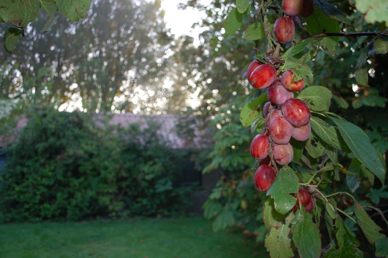 Vita Nova Hippolytushoef Bagian luar foto