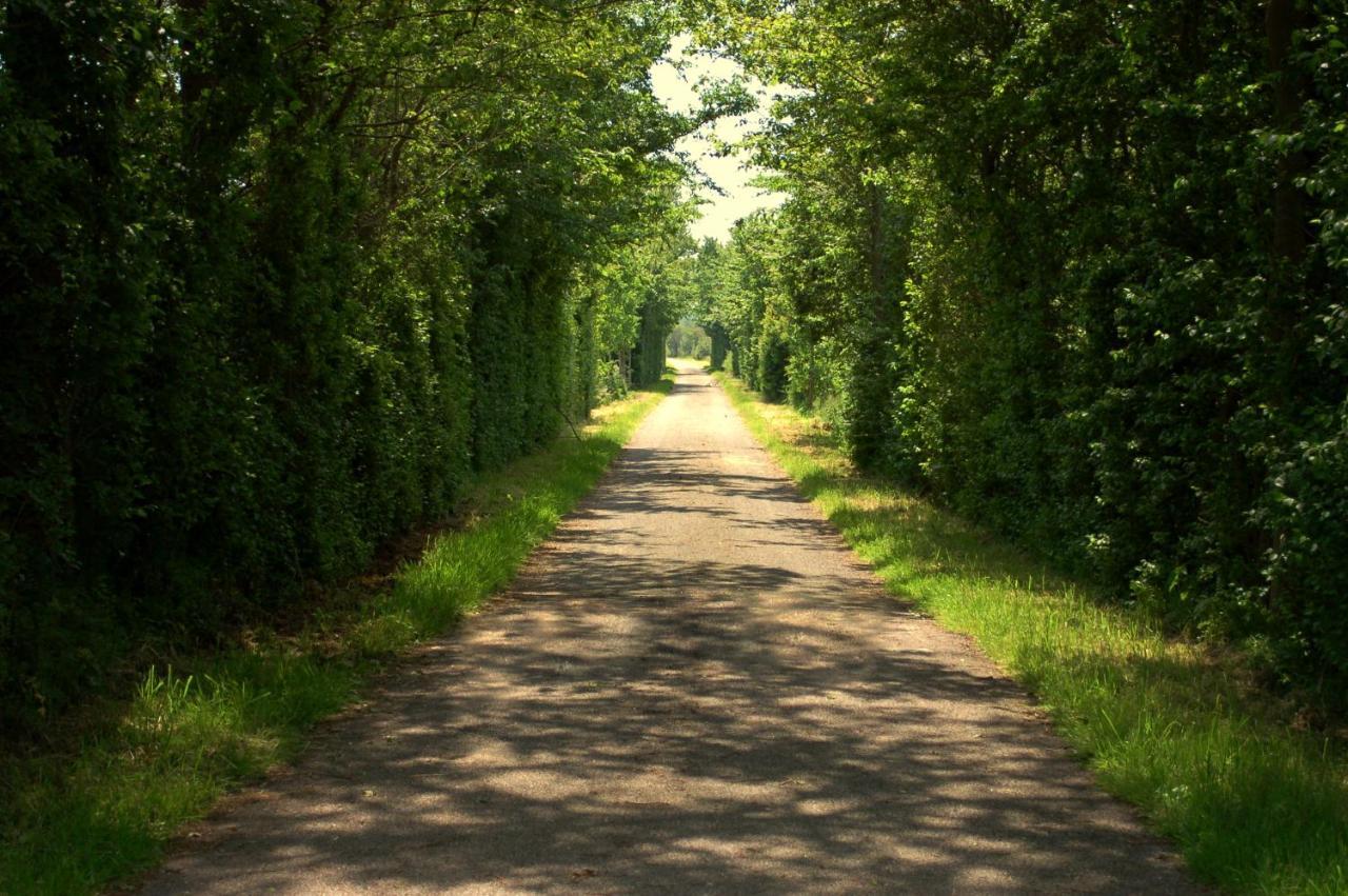 Vita Nova Hippolytushoef Bagian luar foto