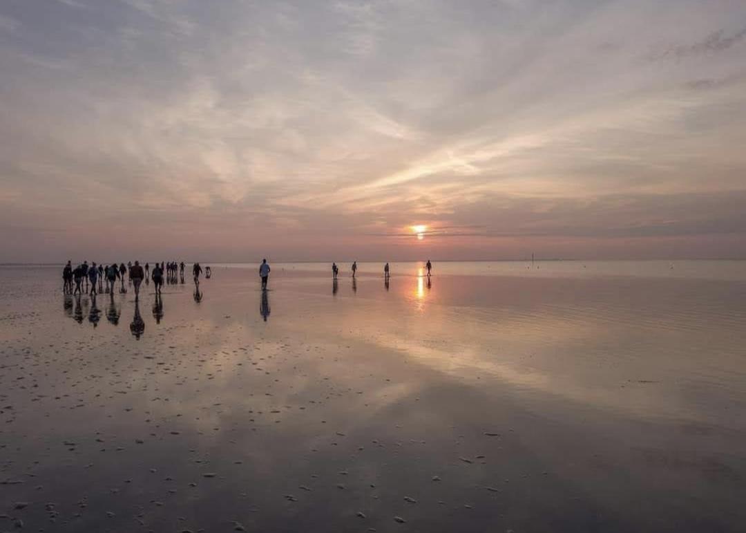 Vita Nova Hippolytushoef Bagian luar foto
