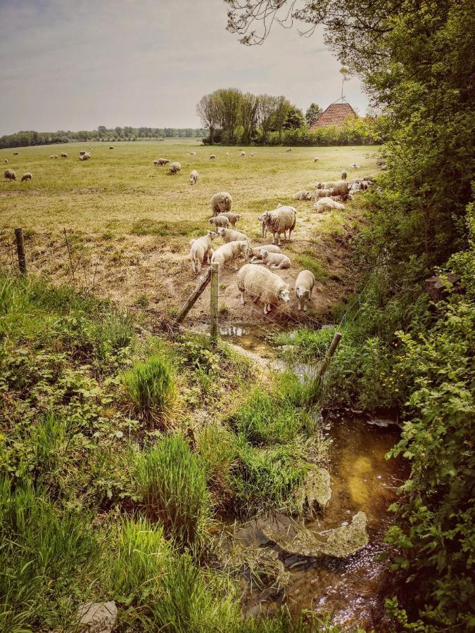 Vita Nova Hippolytushoef Bagian luar foto